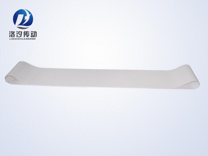 白色環(huán)形輸送帶