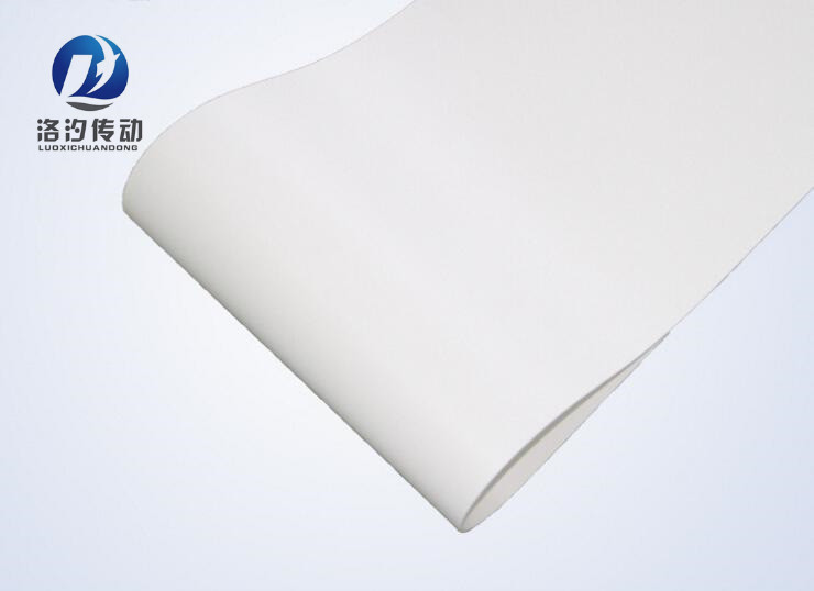 白色環(huán)形輸送帶