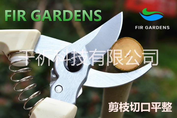30園林園藝* 修枝剪 花枝剪 剪枝剪 粗枝剪 果枝剪 樹枝剪