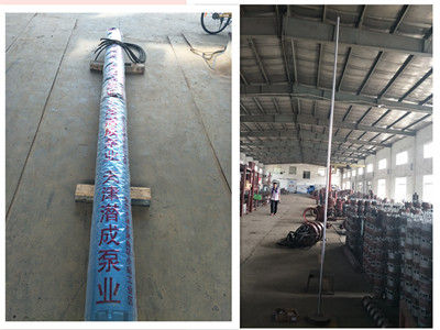 天津井用水泵-潛成信譽好的水泵生產(chǎn)廠家