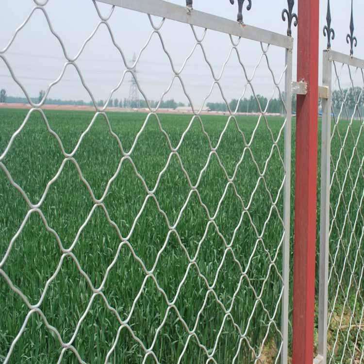 美格網(wǎng)哪家好 美格網(wǎng)廠家 美格防護網(wǎng)質(zhì)量 不銹鋼美格網(wǎng)供應(yīng)商