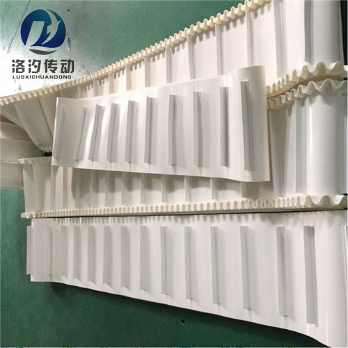 白色裙邊擋板輸送帶