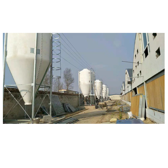 玻璃鋼料塔豬舍自動(dòng)飼喂設(shè)備山東豬舍料線自動(dòng)上料設(shè)備料塔批發(fā)