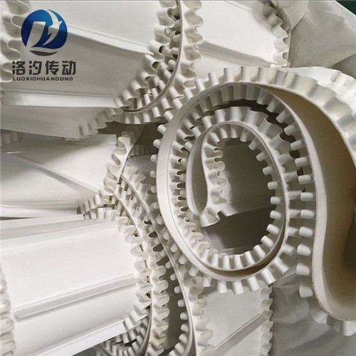 白色裙邊擋板輸送帶