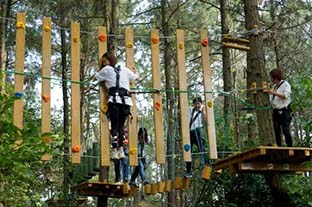 叢林探險設施_ 叢林飛躍生產(chǎn)廠家