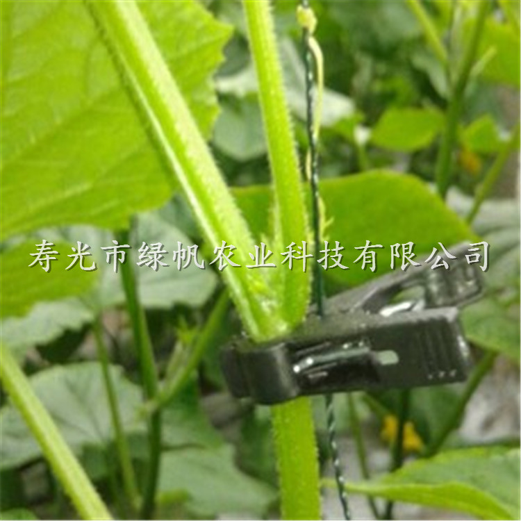 黃瓜/西紅柿/西葫蘆吊秧夾  扶蔓夾 落秧夾 落蔓夾  吊秧夾