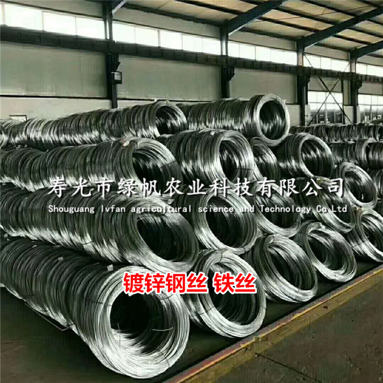 供應(yīng)鍍鋅鋼絲 鍍銅鋼絲 鐵絲  溫室大棚配件 鋼絲配件  扎絲等 鍍鋅鋼絲鐵絲