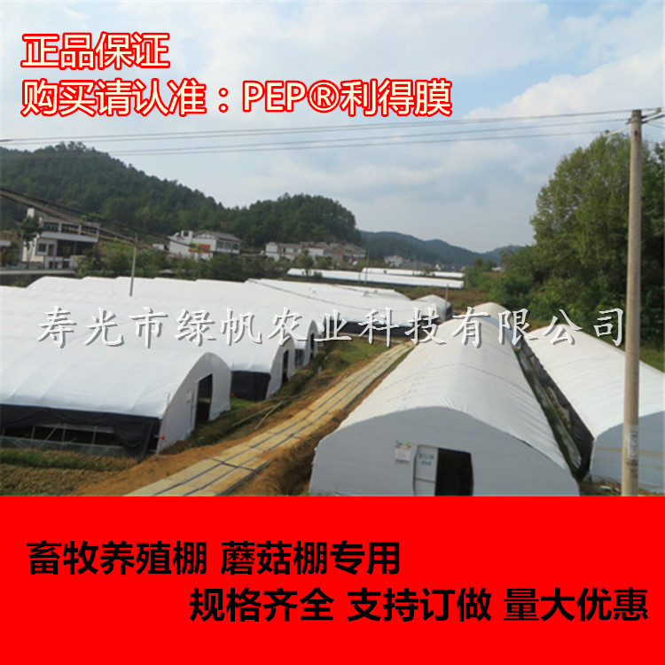 PEP利得膜抗老化黑白膜 畜牧養(yǎng)殖棚蘑菇棚13絲大棚黑白膜