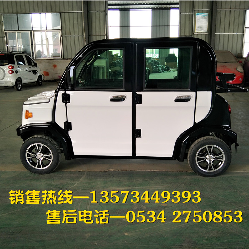 新能源代步轎車全封閉大洋迷你電瓶車