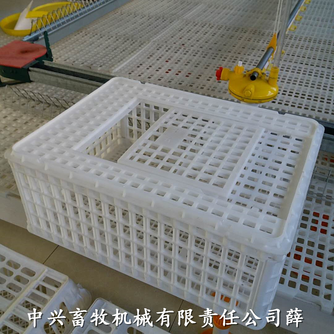 加高裝鵝籠拉鴨周轉(zhuǎn)箱 塑料鴨筐運(yùn)輸雞籠廠家