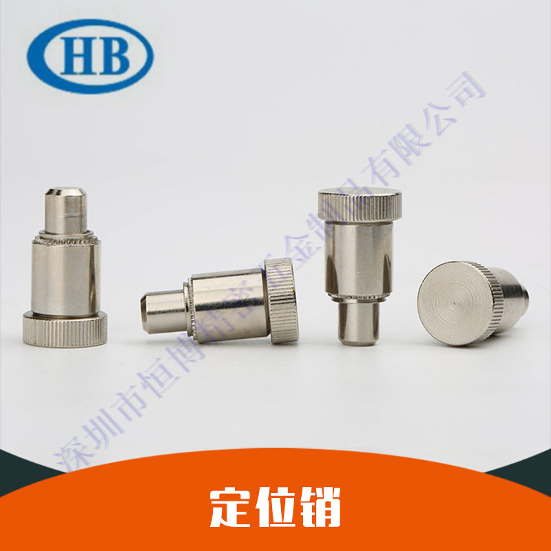 供應(yīng)不銹鋼圓柱銷 定位銷 壓鉚定位銷廠家優(yōu)惠價大量批發(fā)