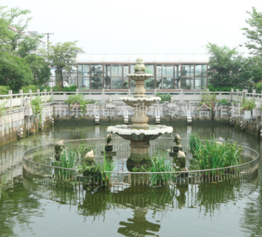 景觀樹(shù)木 景觀樹(shù)木報(bào)價(jià) 景觀樹(shù)木批發(fā) 景觀樹(shù)木供應(yīng)商 景觀樹(shù)木哪家好 景觀樹(shù)木電話