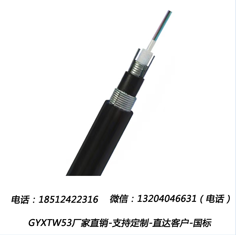 廠家直銷GYXTW53 4-12芯中心管式雙鎧裝直埋光纜 中心管式雙鎧雙護(hù)套防鼠光纜 重鎧裝直埋光纜廠家直銷