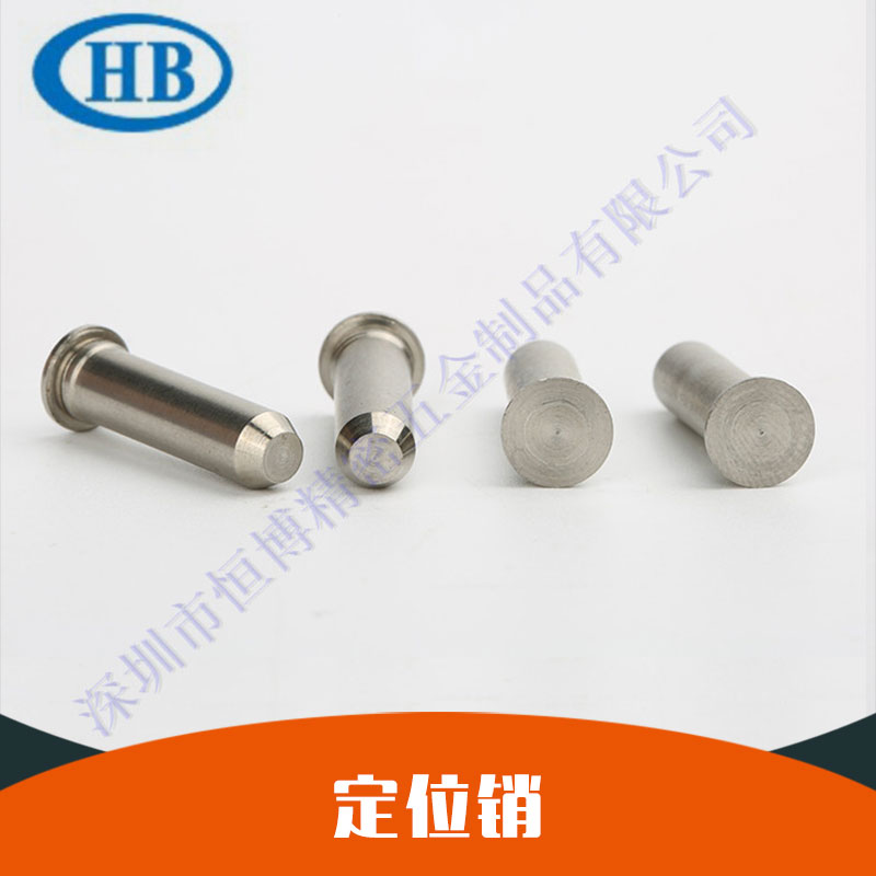 供應(yīng)不銹鋼圓柱銷 定位銷 壓鉚定位銷廠家優(yōu)惠價大量批發(fā)