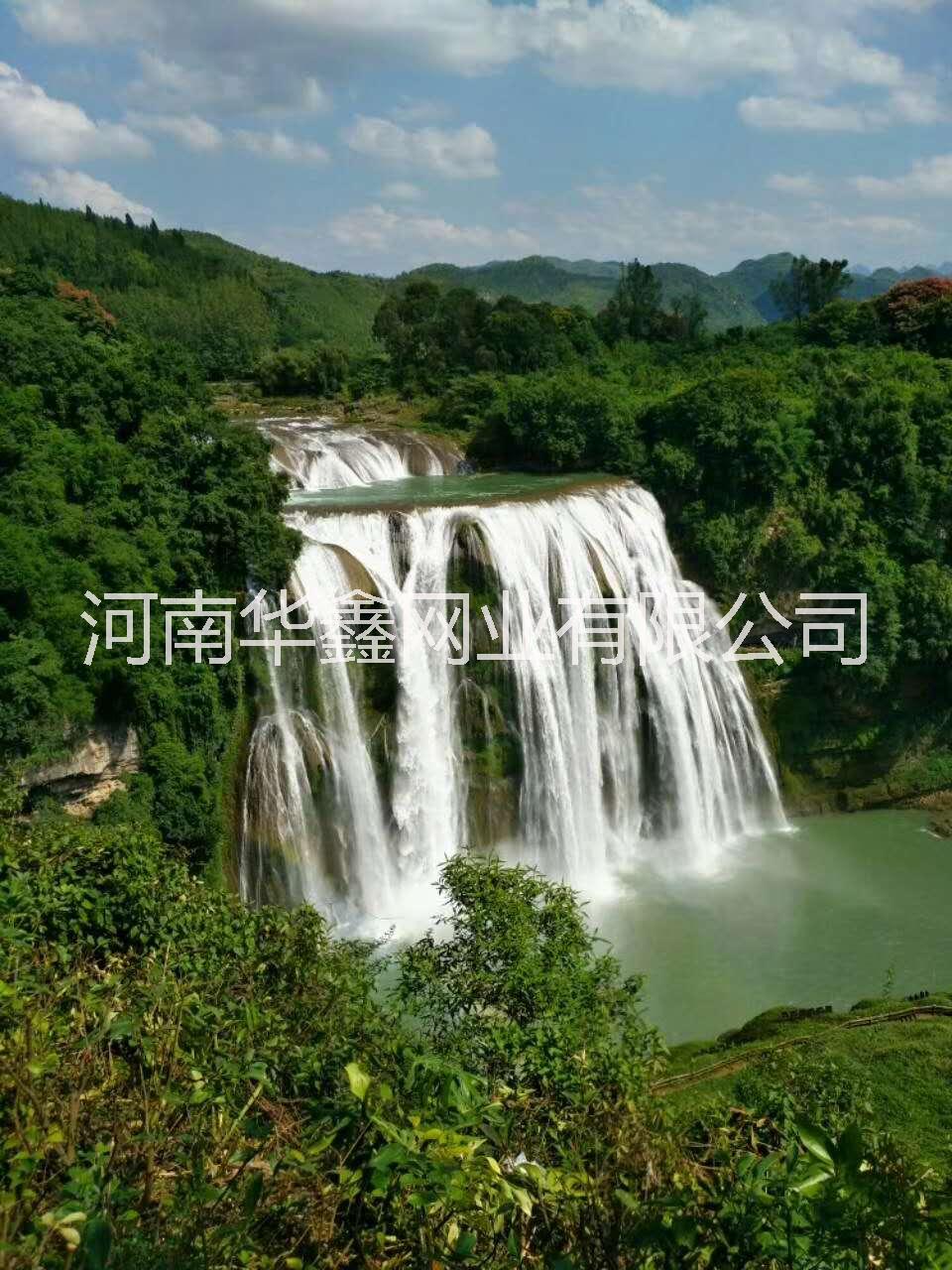 聚酯成型網(wǎng) 聚酯網(wǎng)帶 聚酯網(wǎng)帶用途 河南聚酯網(wǎng)帶