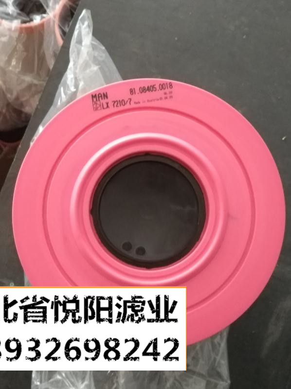 81.08405-0018猛獅濾