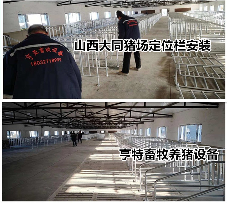 養(yǎng)豬定位欄歐式前后門豬床復(fù)合漏糞板養(yǎng)豬設(shè)備廠家發(fā)貨