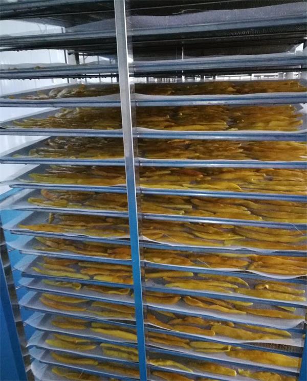 高科技芒果干烘干機(jī)價(jià)格 芒果烘干設(shè)備價(jià)格