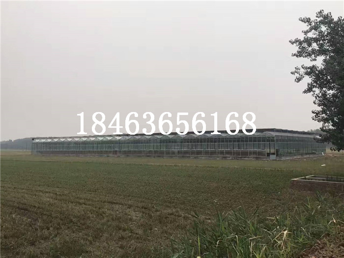 智能溫室大棚，智能玻璃溫室價(jià)格 蔬菜大棚哪家建設(shè)的更好，玻璃溫室大棚  玻璃大棚廠家 蔬菜溫室大棚 玻璃蔬菜溫室大棚