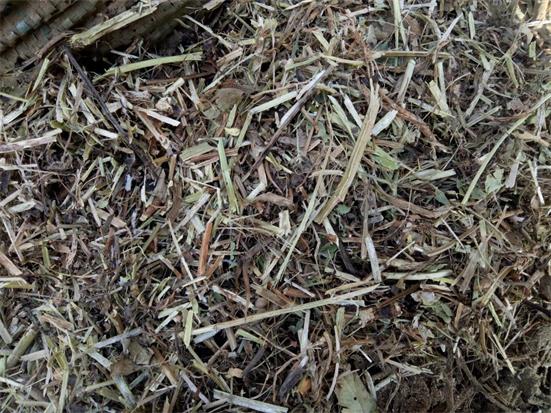 花生秧羊草草面 花生秧草粉 花生秧多少錢一噸 羊飼料多少錢一噸