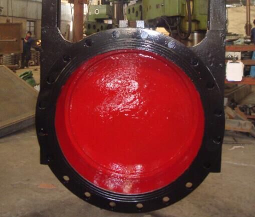 腭式閘門 腭式閘門  腭式閘閥