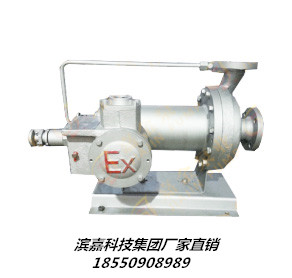 濱嘉科技集團(tuán)廠家直銷PBW型臥式*離心泵