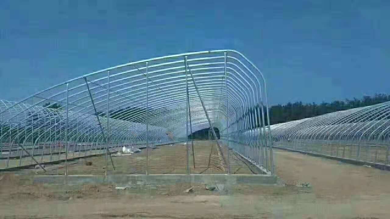 橢圓管日光薄膜溫室 日光溫室用橢圓管合適嗎 濰坊建達(dá)溫室材料