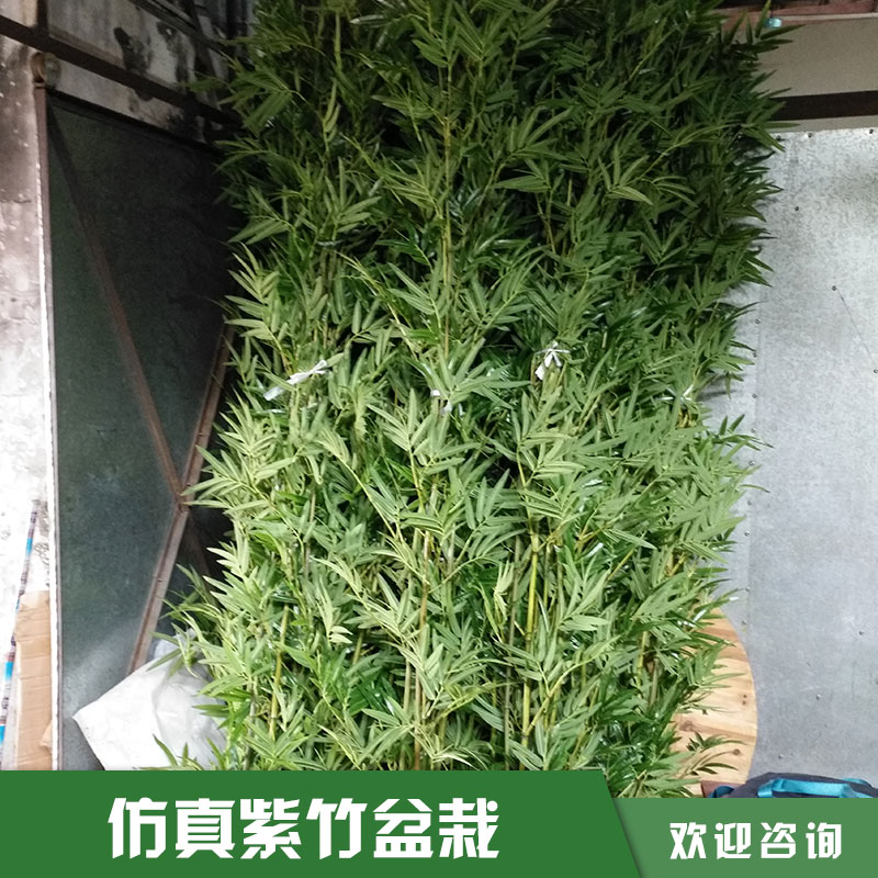 仿真紫竹盆景 東莞市仿真紫竹子盆景價(jià)格 廣州市仿真紫竹子盆景廠家 深圳仿真紫竹子盆景供應(yīng)商