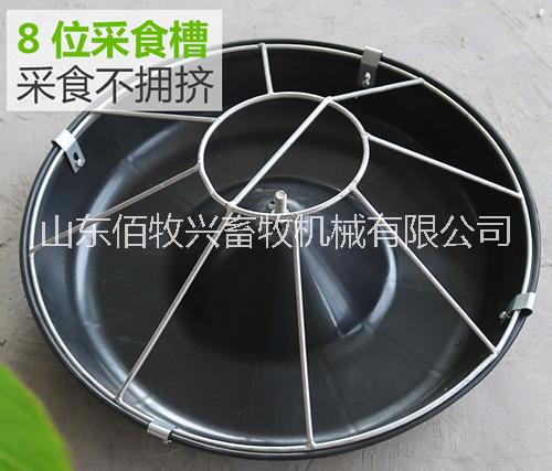 仔豬食槽小豬料槽仔豬圓形補(bǔ)料槽5位仔豬食槽不銹鋼小豬料槽小豬補(bǔ)料器