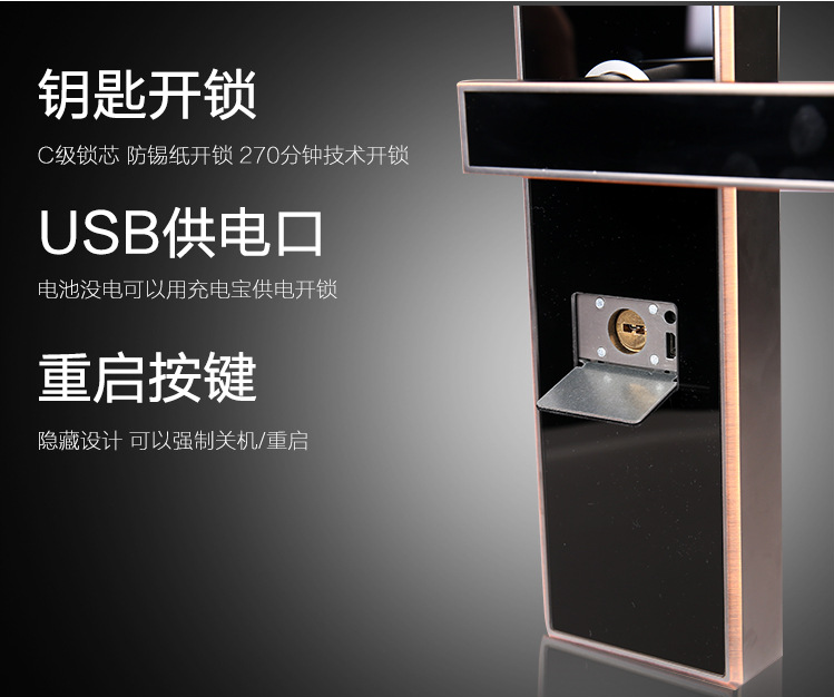 人臉識別智能門鎖 人臉識別鎖廠家 人臉識別鎖定制  公寓防盜門智能家居