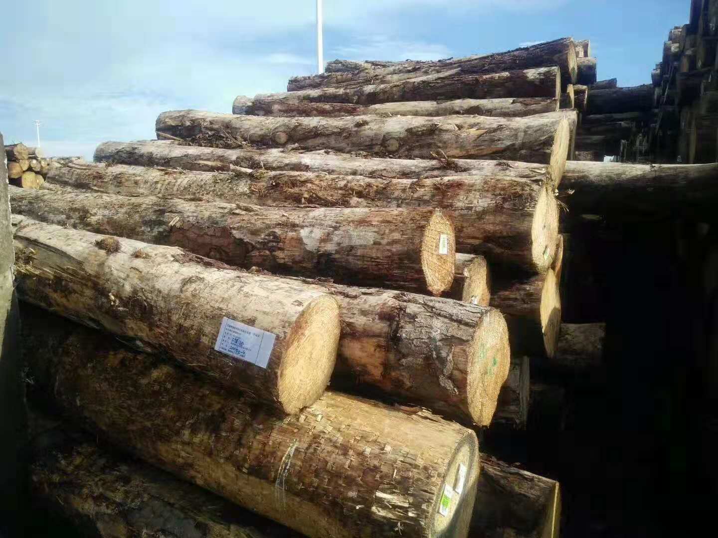 廣西進(jìn)口木方廠家 廣西進(jìn)口木方價(jià)格 廣西進(jìn)口木方報(bào)價(jià) 廣西進(jìn)口木方廠家 廣西進(jìn)口木方哪家好