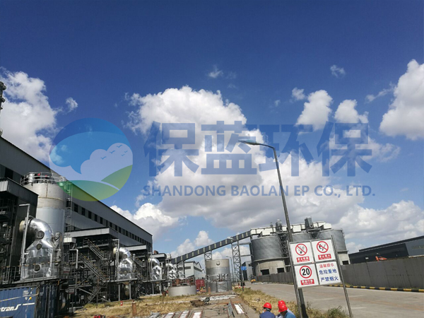 石油焦廢氣處理設(shè)備 山東保藍(lán)環(huán)保