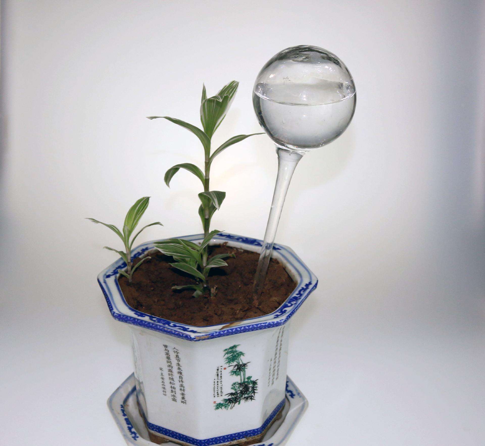 天氣球玻璃球天氣預(yù)報(bào)瓶