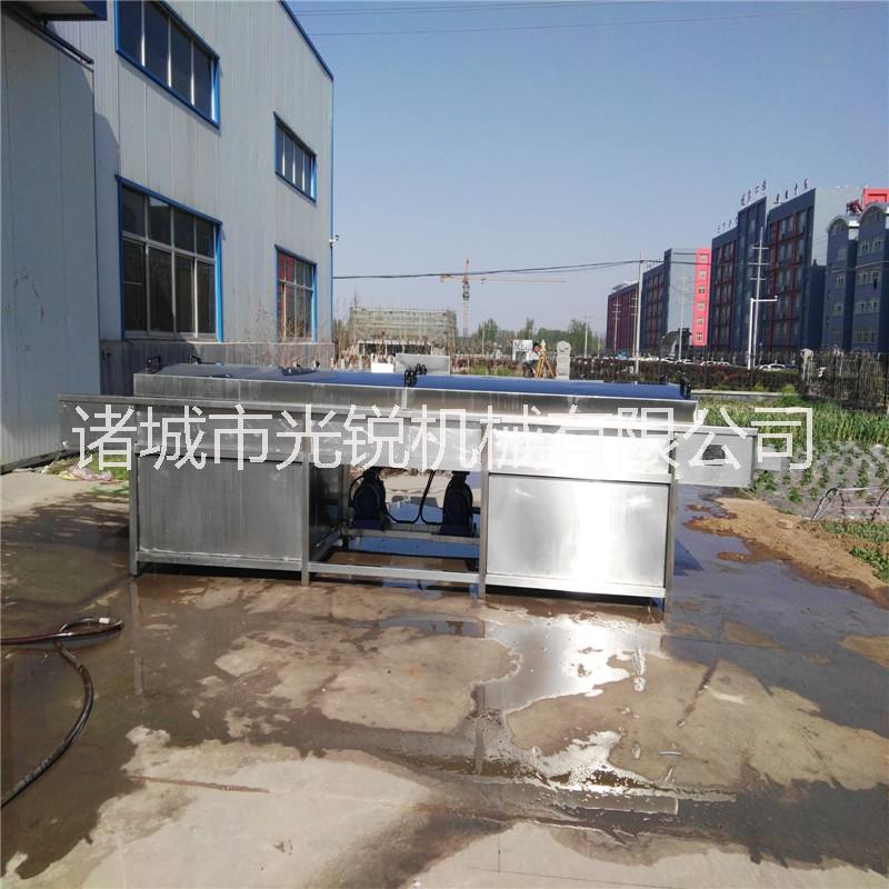 供應(yīng)全自動蔬菜清洗機