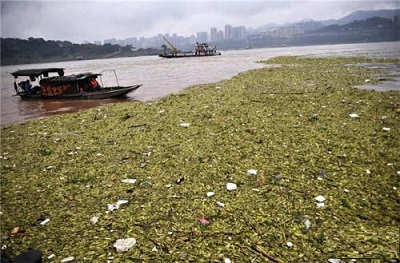 BVS智能視頻分析-智慧水利解決