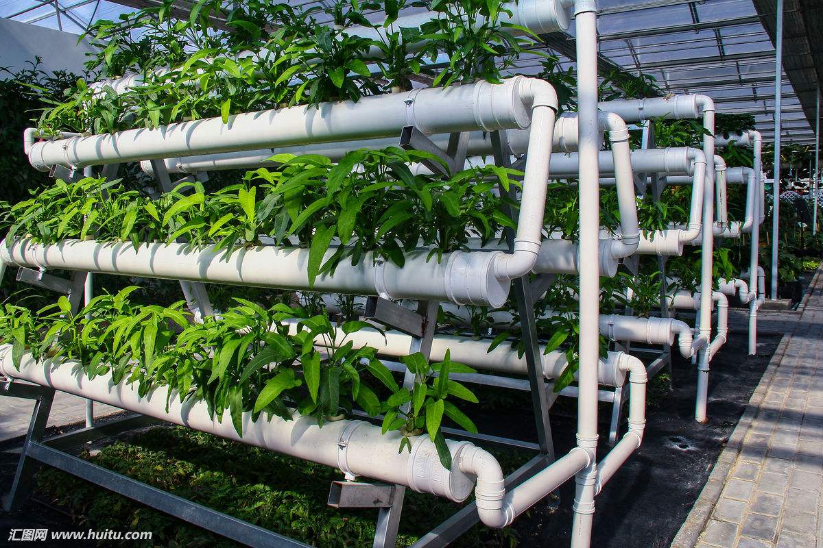 玻璃無土栽培蔬菜溫室 無土栽培蔬菜種植適合用哪種溫室大棚 濰坊建達溫室