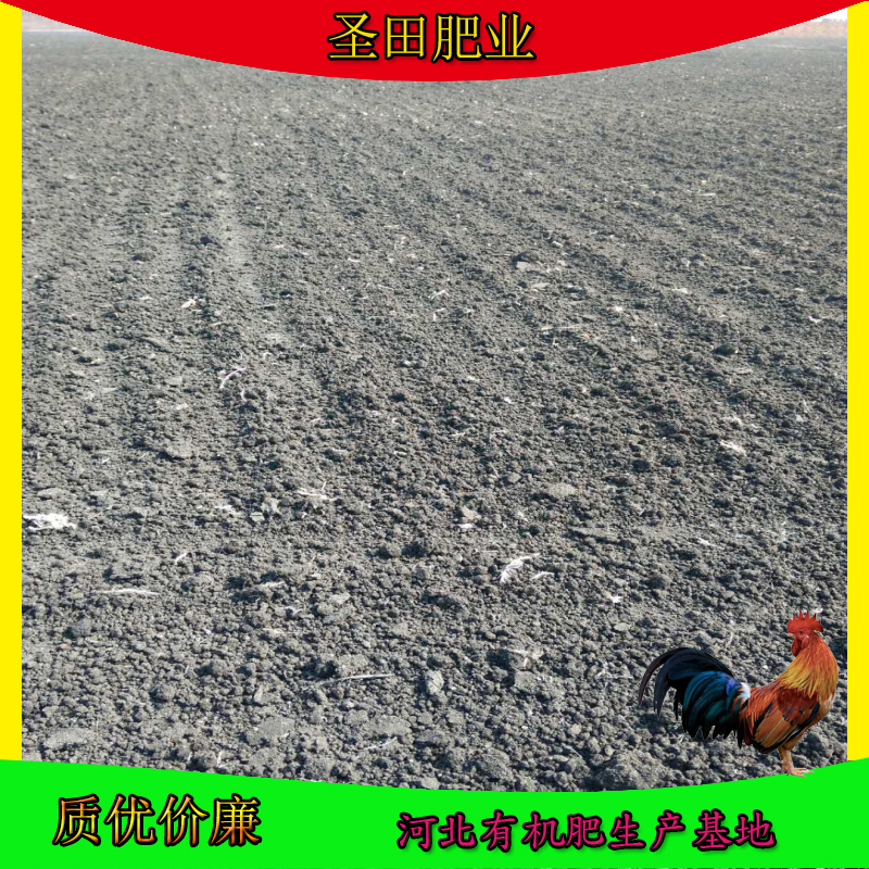 濮陽干雞糞怎么賣鶴壁雞糞價(jià)格安陽雞糞有機(jī)肥廠家 濮陽干雞糞，鶴壁雞糞，安陽雞糞