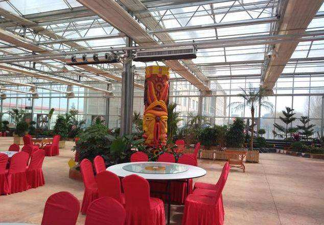 陽光板溫室餐廳【圖片】，濰坊連棟陽光板溫室安裝電話，陽光板溫室餐廳安裝方法，陽光板和玻璃哪種好