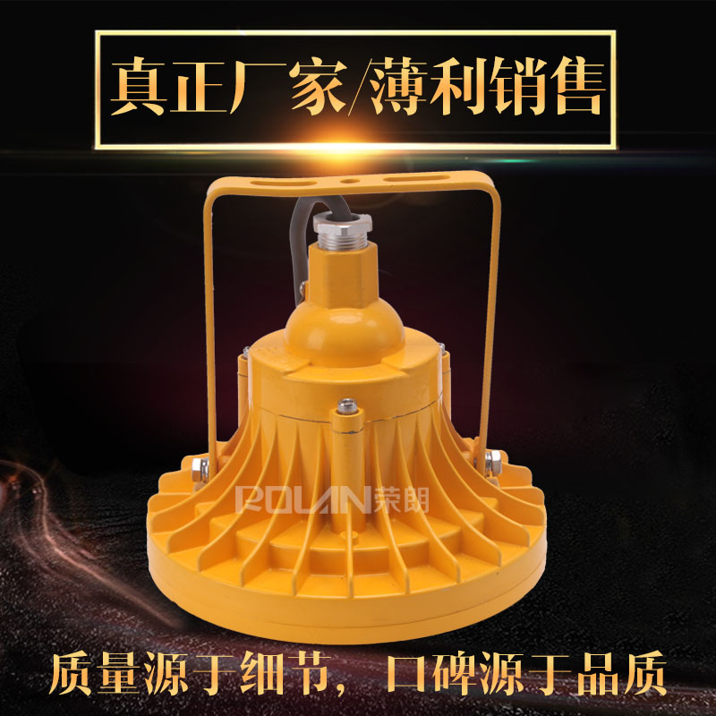 30LED防爆燈路燈式泛光燈哪里有