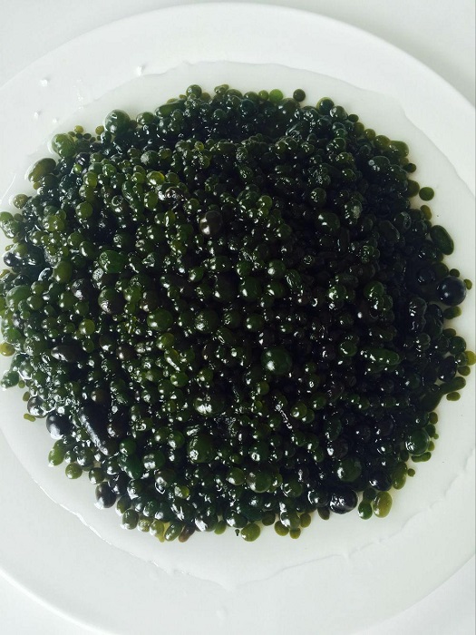 蝦青素*價格|北方蝦青素生產(chǎn)商|青島旭能