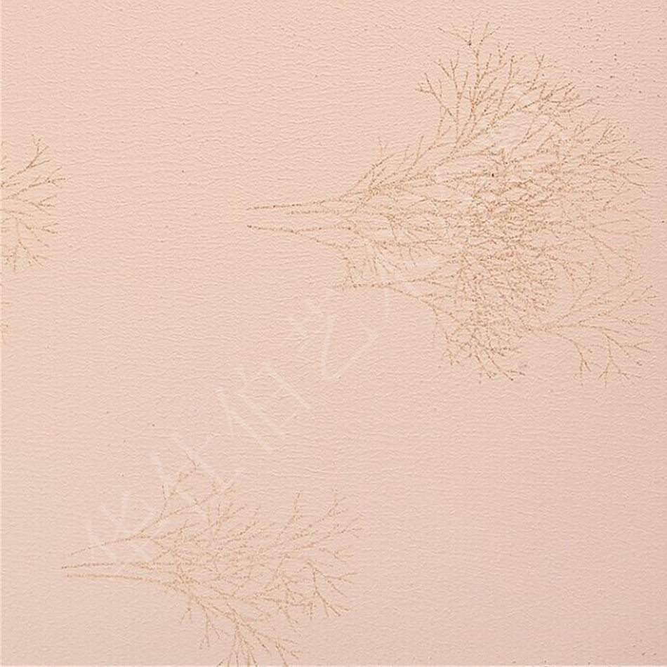 藝術(shù)涂料專業(yè)品牌，彈性肌理漆,彈性肌理壁膜,肌理漆廠家培訓(xùn),華仕伯藝術(shù)