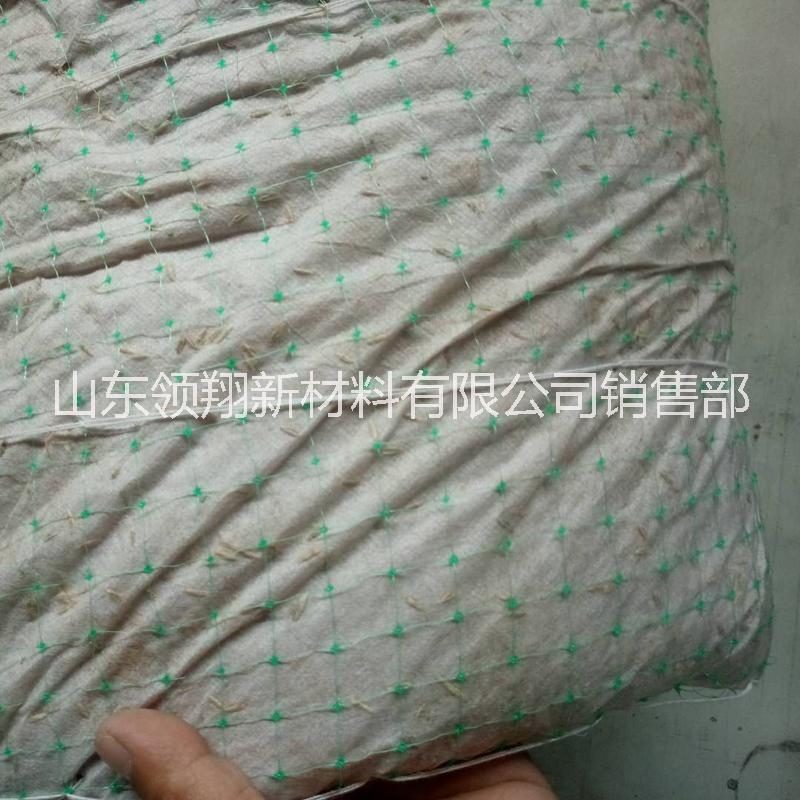 抗沖生物毯 抗沖生物毯報(bào)價(jià) 抗沖生物毯直銷 抗沖生物毯哪家好 抗沖生物毯批發(fā) 抗沖生物毯供應(yīng)商