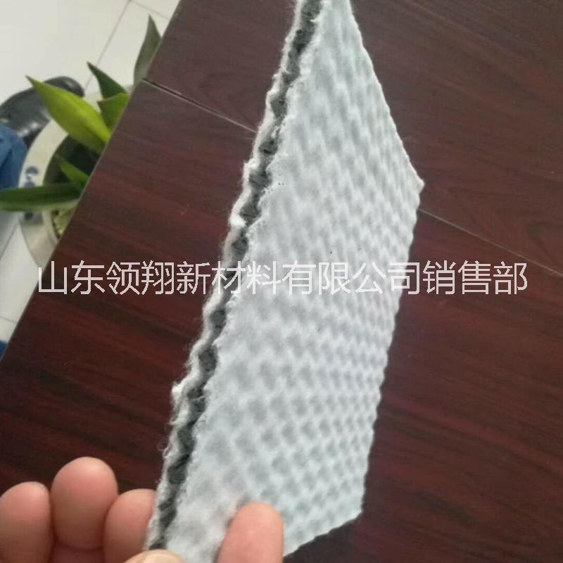 復(fù)合排水網(wǎng) 復(fù)合排水網(wǎng)報價 復(fù)合排水網(wǎng)直銷 復(fù)合排水網(wǎng)批發(fā) 復(fù)合排水網(wǎng)哪家好 復(fù)合排水網(wǎng)供應(yīng)商