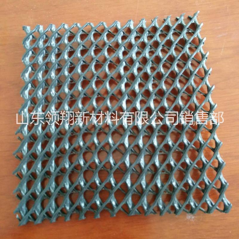 復(fù)合排水網(wǎng) 復(fù)合排水網(wǎng)報價 復(fù)合排水網(wǎng)直銷 復(fù)合排水網(wǎng)批發(fā) 復(fù)合排水網(wǎng)哪家好 復(fù)合排水網(wǎng)供應(yīng)商