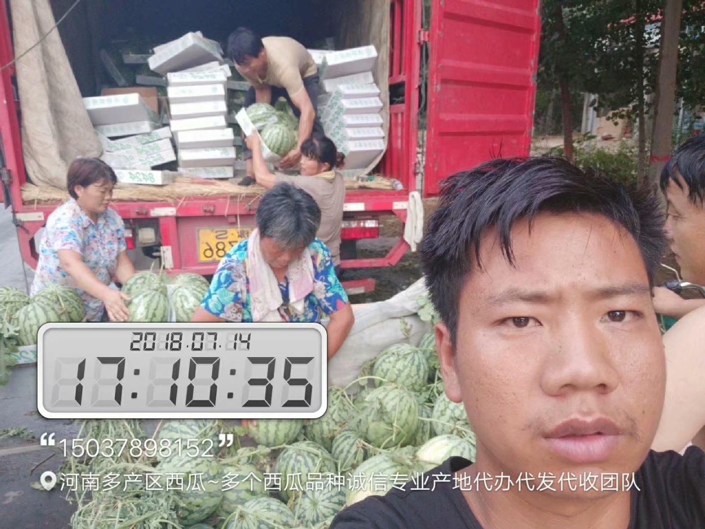 今日河南開封8424西瓜大掉價(jià) 抓住機(jī)會(huì) 就是美好時(shí)期 早佳8424