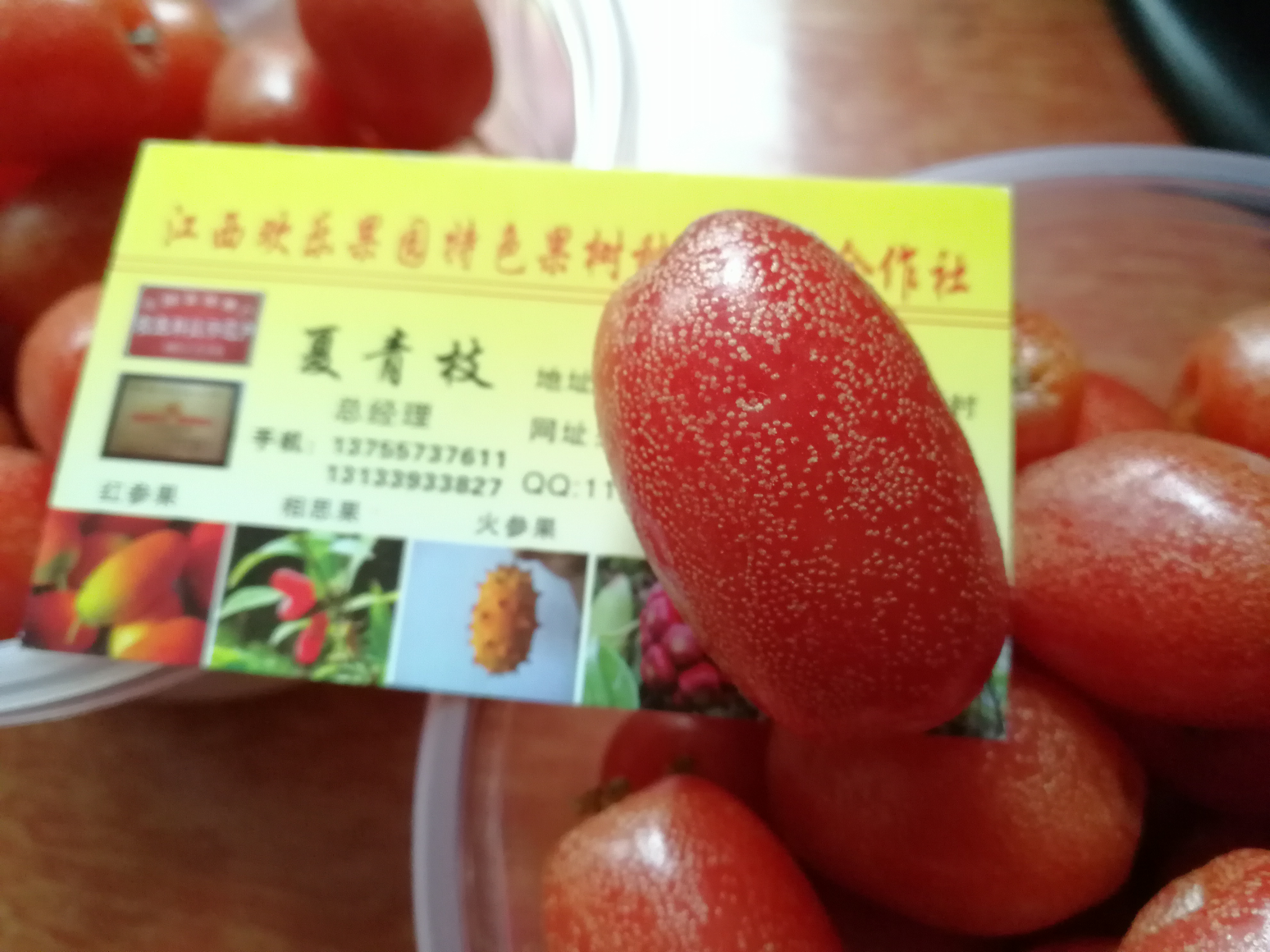 羊奶果，羊奶果種苗，大果羊奶果，大甜羊奶果，德甜羊奶果 羊奶果批發(fā)