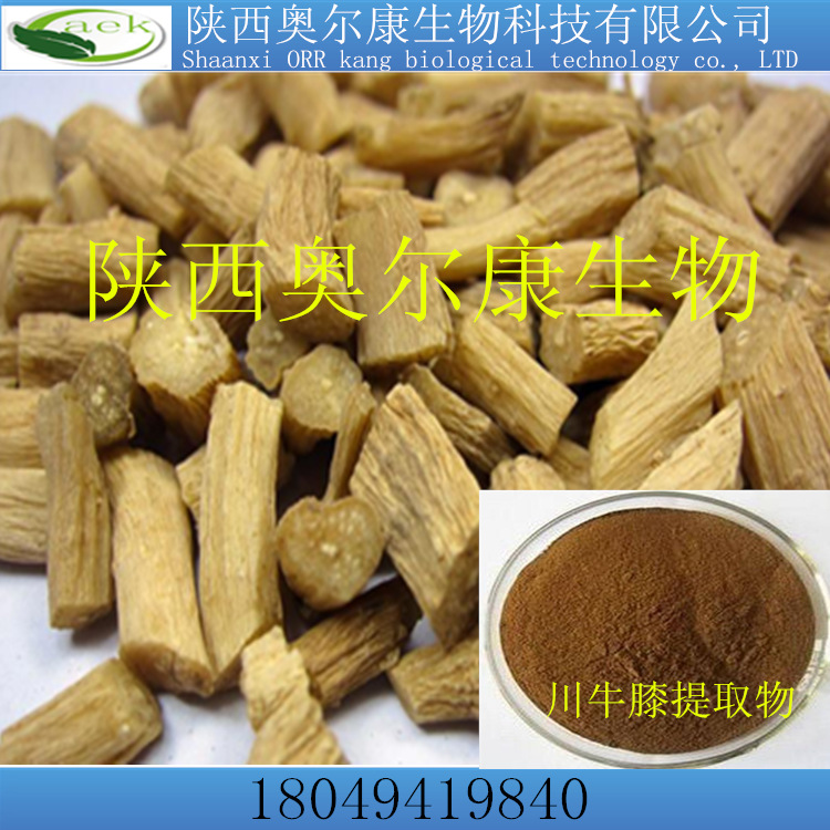 陜西奧爾康生物直銷優(yōu)質(zhì)川牛膝提取物10:1  現(xiàn)貨包郵