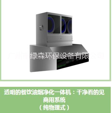 煙罩一體式凈化設(shè)備 廣州免清洗煙罩一體機(jī)廠家 風(fēng)機(jī)凈化一體機(jī)組