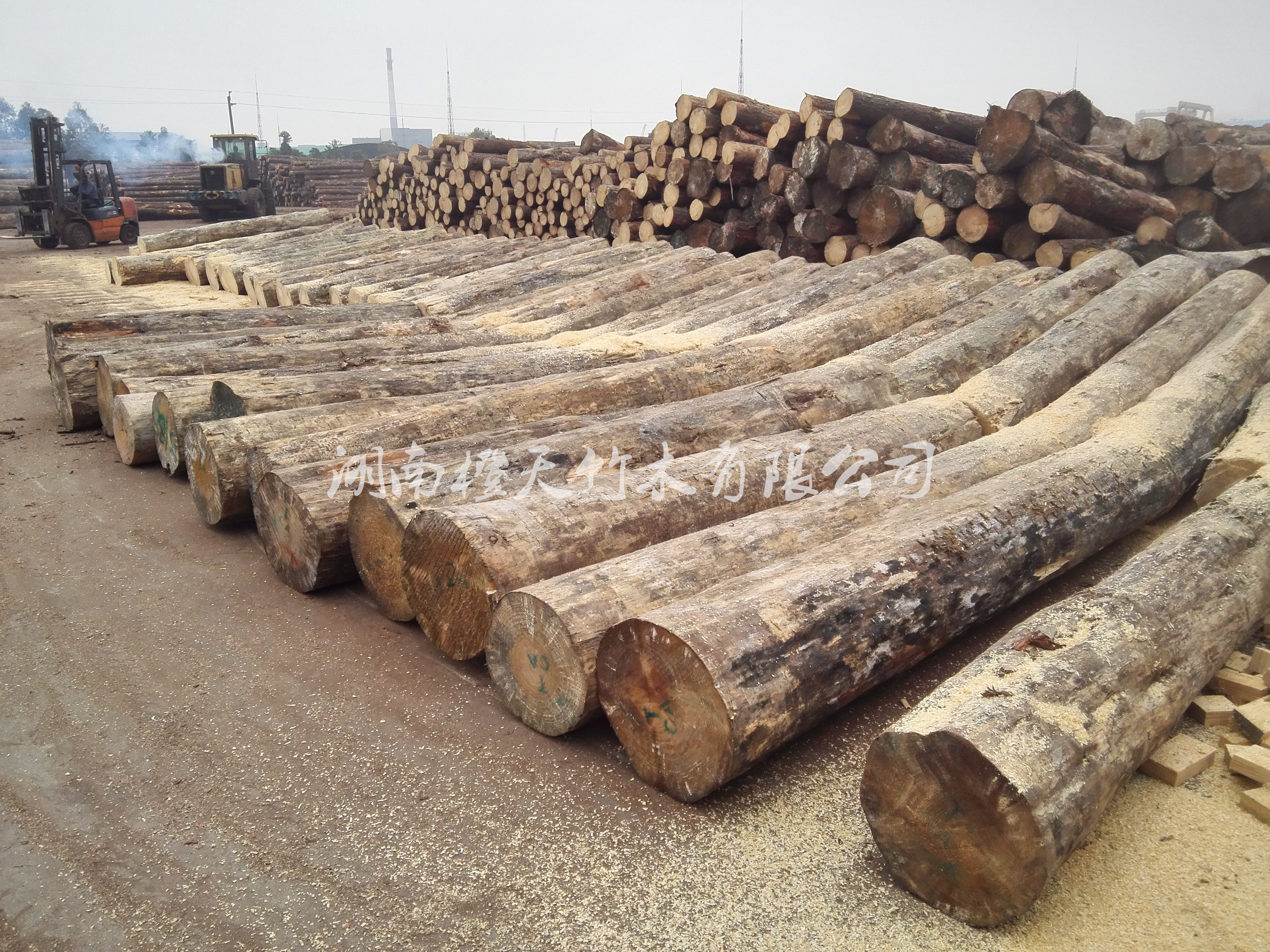 湖南橙天竹木 建筑木方 方木  方條 木方