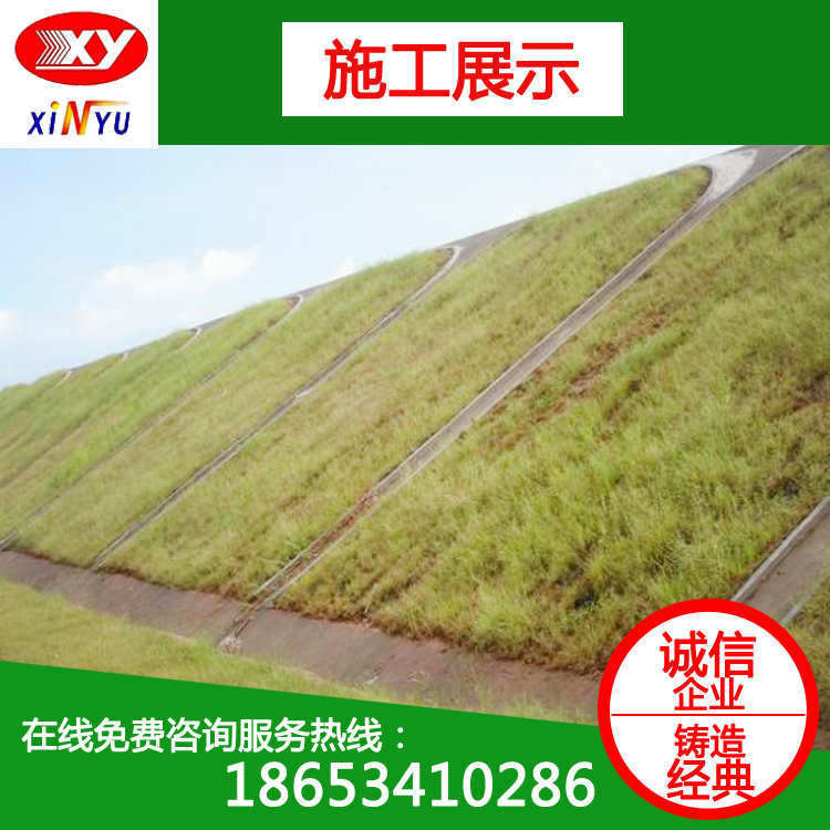 生態(tài)修復(fù)毯 環(huán)保綠化植生毯 加筋護坡 強力好 礦山修復(fù)*植生毯